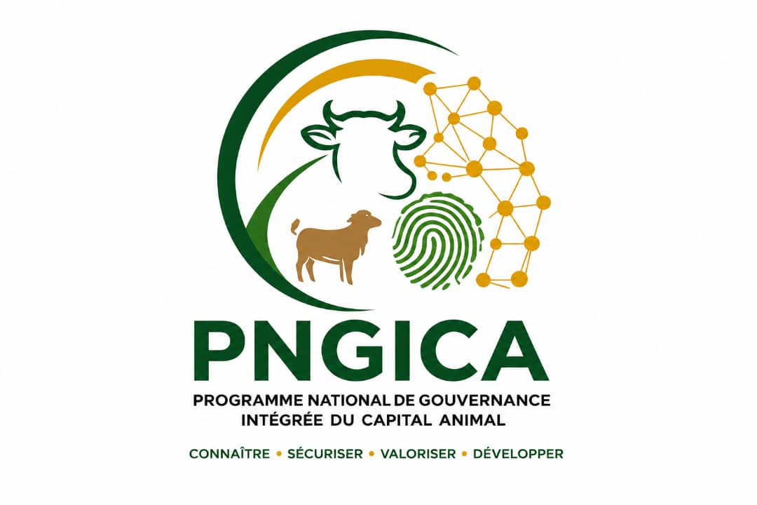 PNGICA